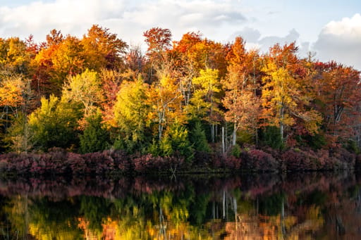 Foliage Finds Across IN, from Get Indiana: Leaves Changing Color? Head to These IN Destinations 🍂
