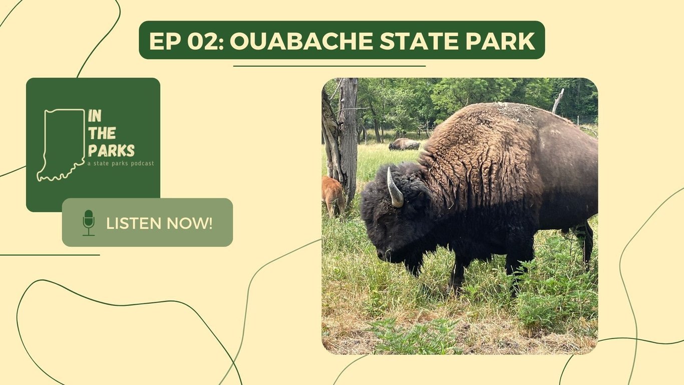 IN the Parks: Ouabache State Park, from Get Indiana: Three Escapes for Your Fall Bucket List 🏌🏞