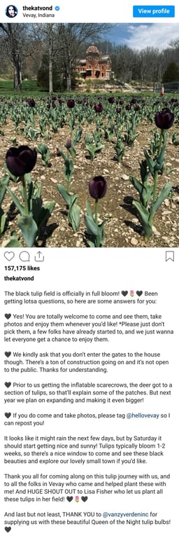 Instagram Post
