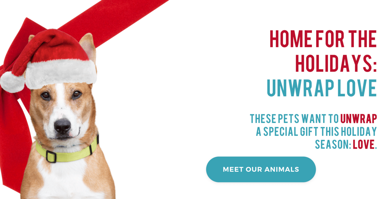Do you know Max from the grinch? 🐶, from Get Fishers: ⛵️ Measuring Xmas