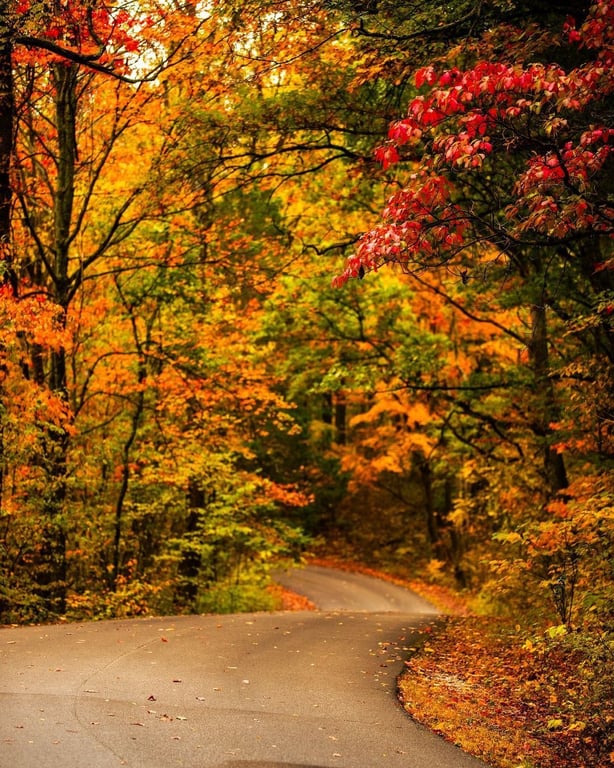 📸 emschutt | 📍 Brown County State Park