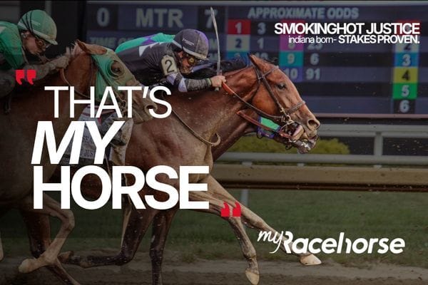 An Indiana horse. A big Saturday. And you could be an owner.*, from Get Fishers: ⛵Grand Openings & Groundbreakings