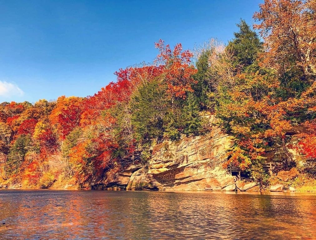 Turkey Run State Park
