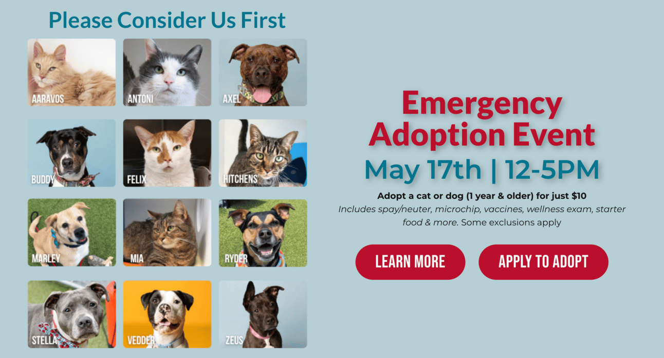 Hamilton County’s shelter is bursting at the seams, so they’re dropping adult pet adoptions to $10 to avoid heartbreaking choices.