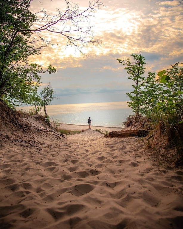 📸 charlieelliott18 | 📍 Indiana Dunes