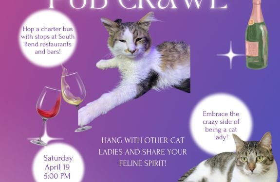 🐈 Crazy Cat Lady Pub Crawl, from Get South Bend: Tigers and Leopards, OH MY!