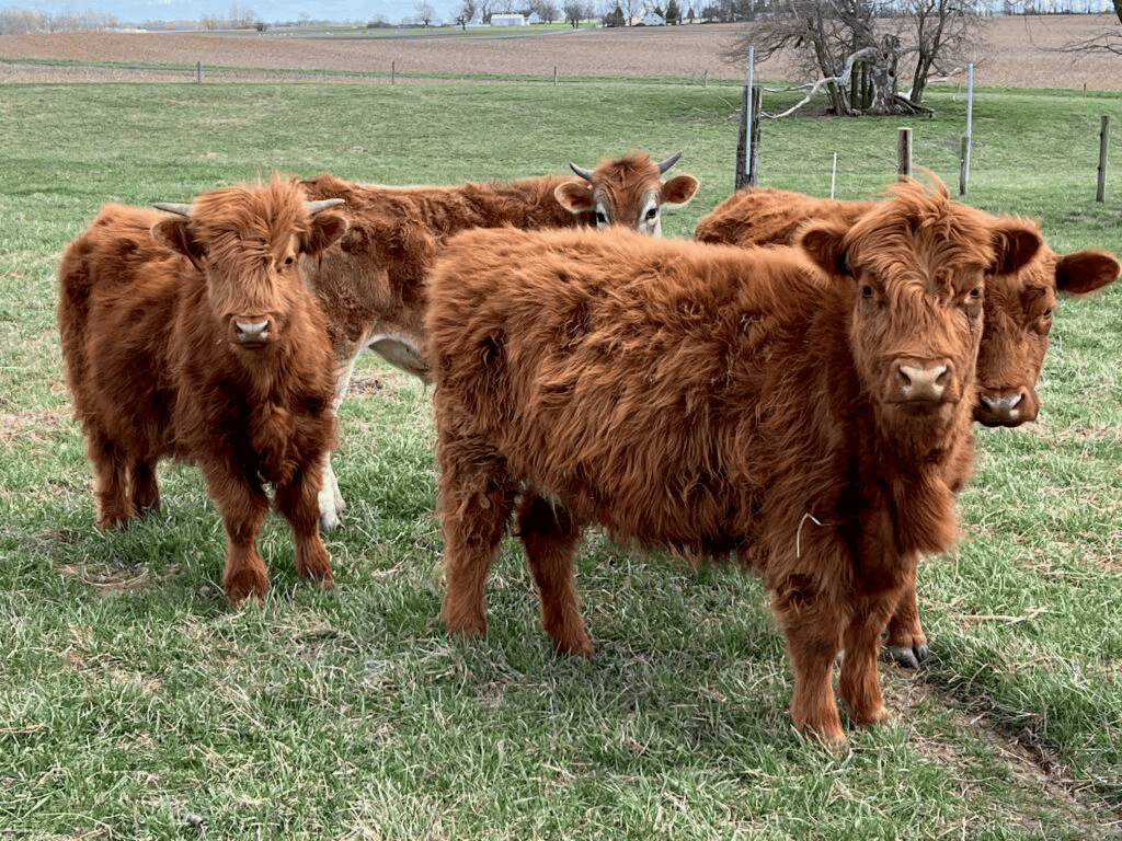 Hobson Adventure Farm, from Get Indiana: Small Town, Big River: Wild History on the Wabash