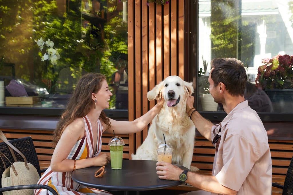 Pet-Friendly Spots Pupping Up Across Indiana, from Get Indiana: Fair Barns & Belly Rubs – Your Guide to IN Summer 🎡🐶