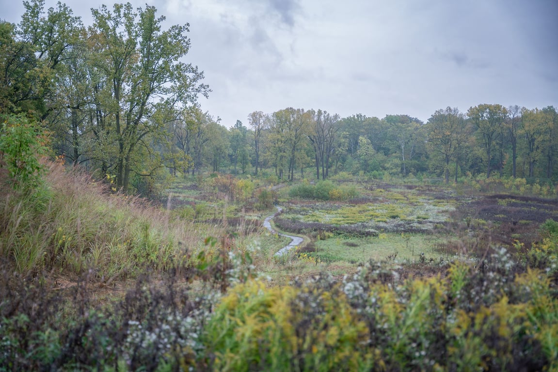 New Nature Preserve Opening, from Get Indiana: Crazy Road Trips, U-Pick Berry Farms, & 500 Vibes