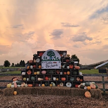 Tuttle Orchards, from Get Fishers: ⛵Fall Is Officially Here