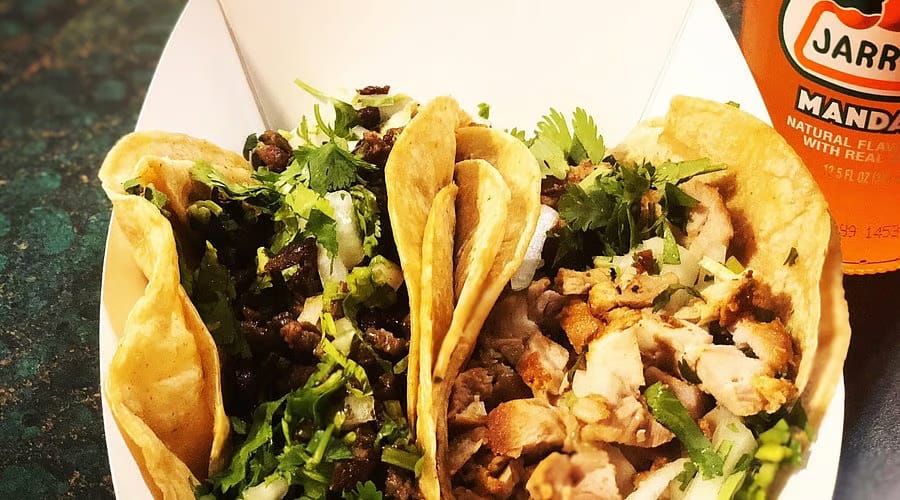 Taco Tia, from Get Indiana: Bobcats Spotted in Indiana! What You Need to Know