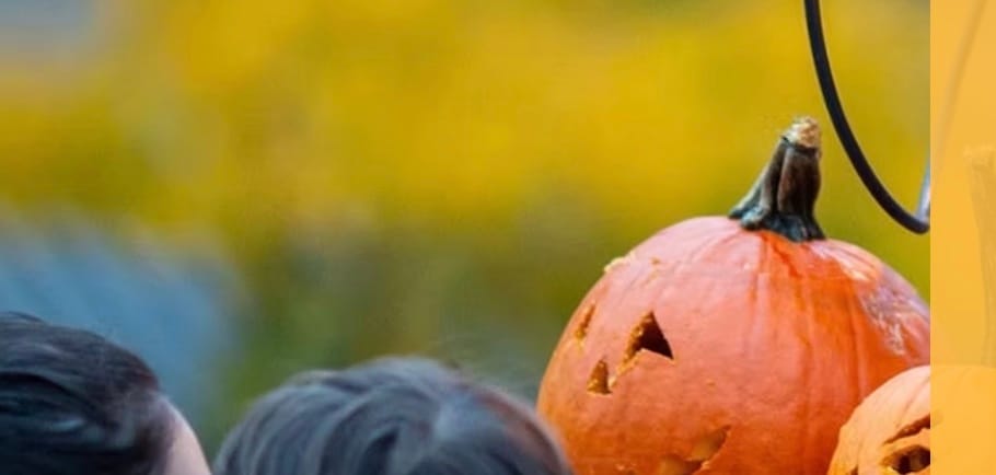 Downtown South Bend is going all out for Fall this weekend, and there is sure to be something for everyone!