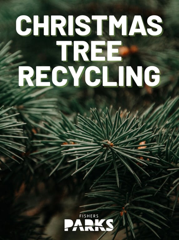 Christmas Tree Recycling, from Get Fishers: ⛵ Football & Free Doughnuts!