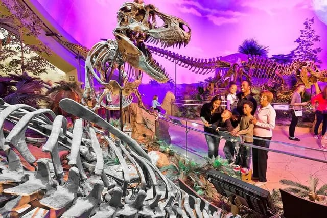 Children’s Museums You Gotta Check Out, from Get Indiana: 25 Years: 'Cers 1 W Away From First NBA Finals Appearance Since