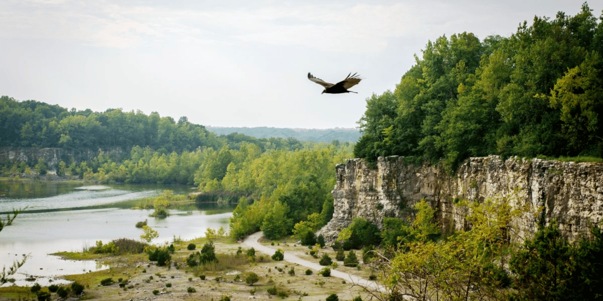 DePauw Nature Park, from Get Indiana: 🌊IN's New $100M Attraction Opens Next Week