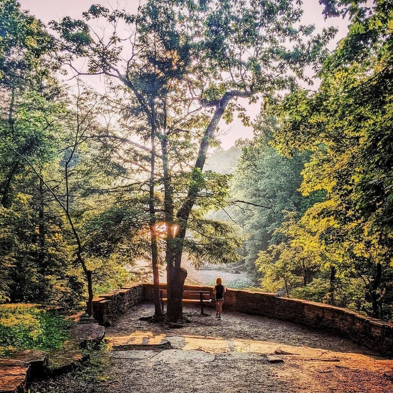 📸 visitindiana | 📍 Turkey Run State Park