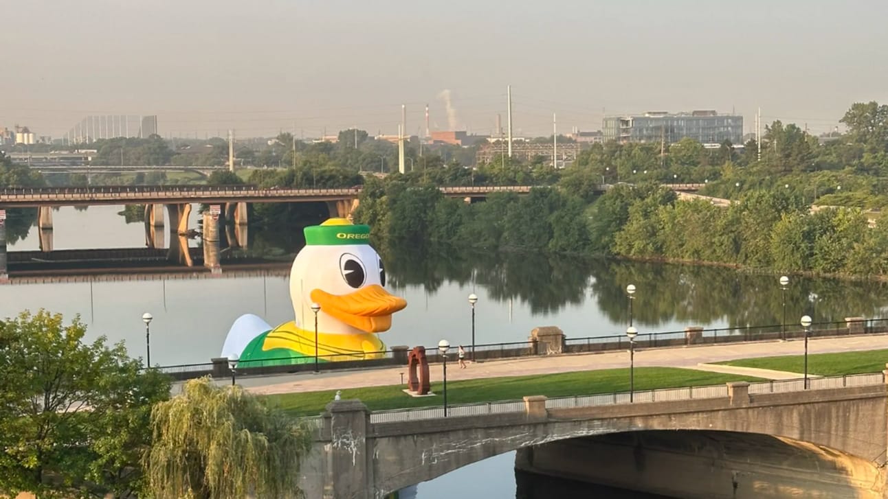 Why the heck is there a duck floating on the river in Indy?, from Get Fishers: ⛵️Answered: Best ice cream in Fishers🍦