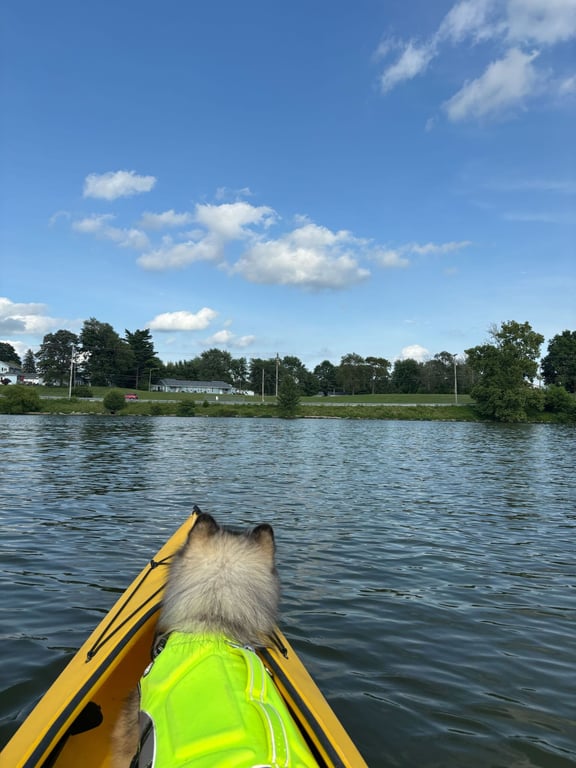 Morse Reservoir, from Get Indiana: Once a Farm Town, Now a Summer Destination 🚤