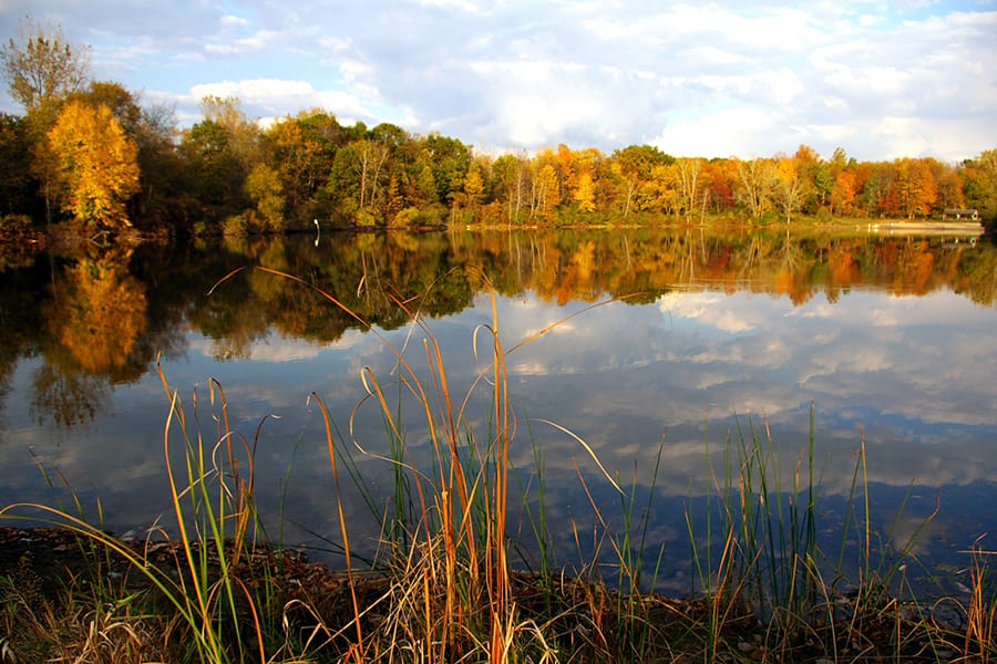 Fox Island County Park, from Get Indiana: The Flood of '26: Tips to Recovery, Photos & More
