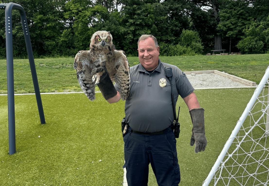 Officer Kelly who freed the owl from a soccer net