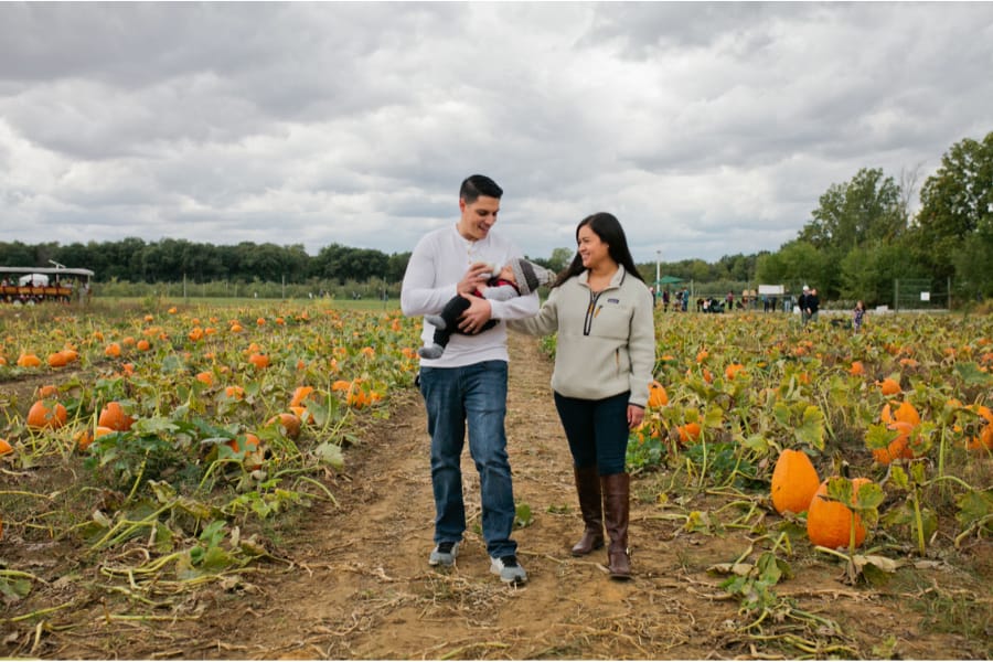 Pumpkin Smash Bash at Fair Oaks Farms, from Get Indiana: Sweet Victory: IN is Home to the Best Candy Store 🍬