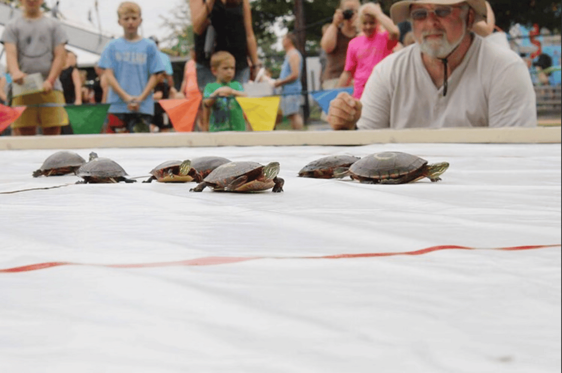 TURTLE DAYS FESTIVAL, from Get Indiana: Oscar & Turtle Town, USA: Churubusco 🐢