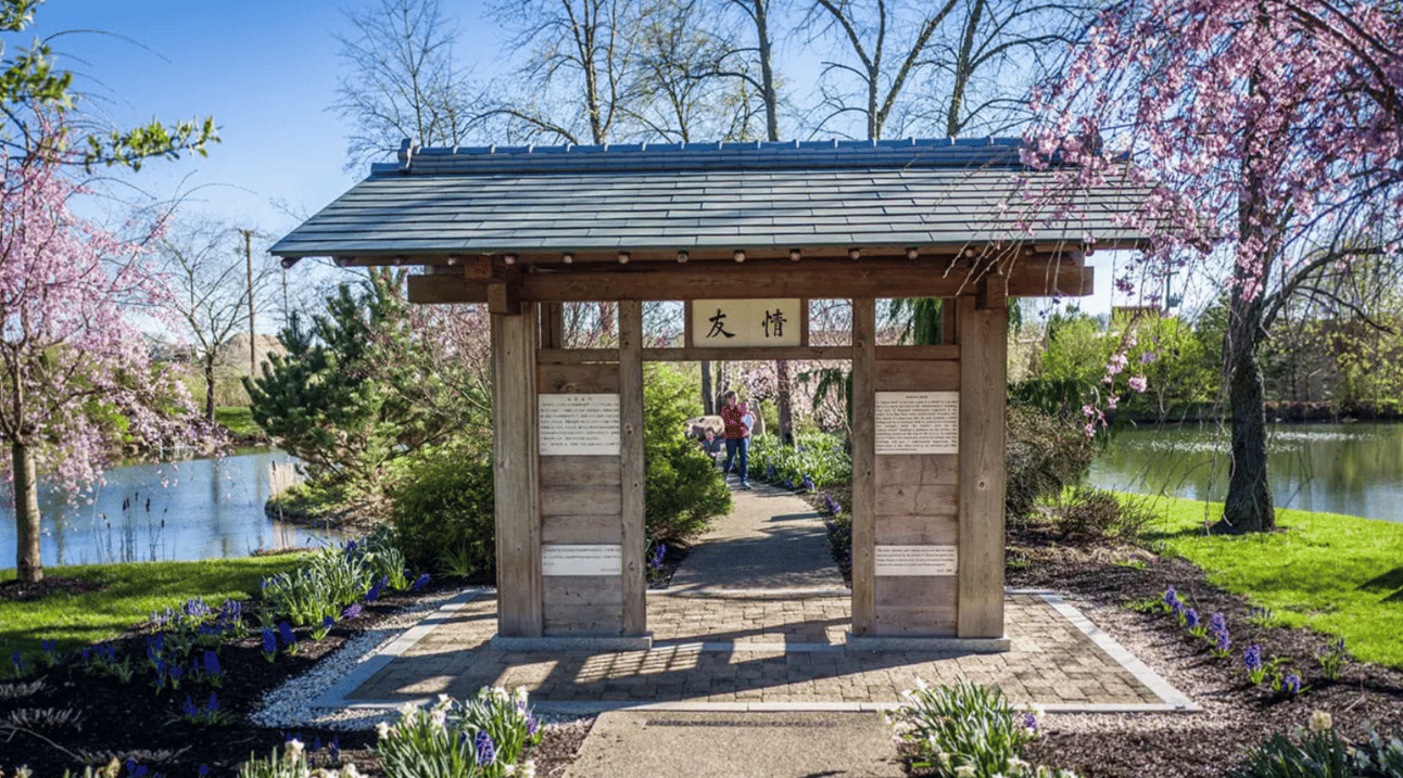 Cherry Blossom Festival 🌸, from Get Fishers: ⛵Yes, It's Back