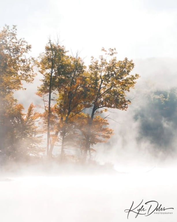 📸 kyledoles | 📍 Brown County State Park