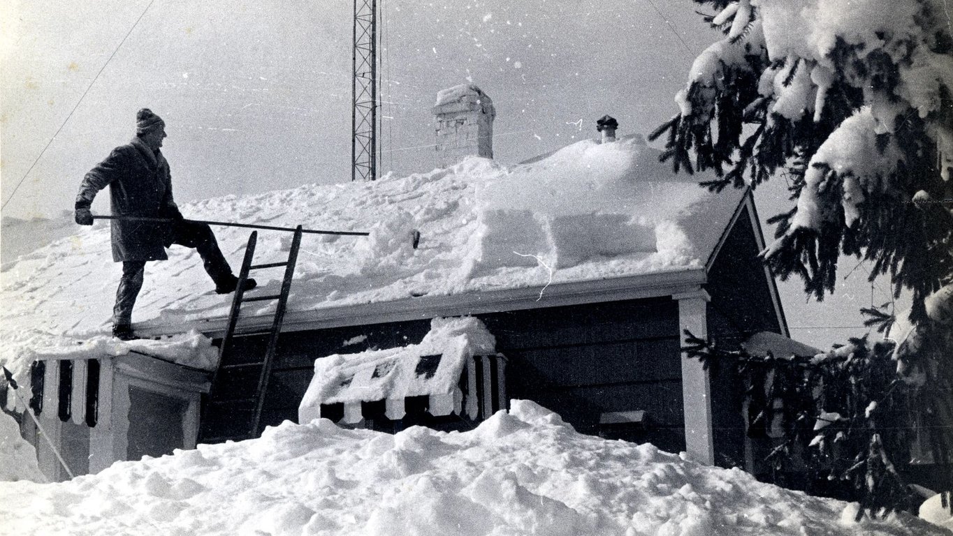 📜 This Week in Indiana History 📜, from Get Indiana: 🏆Hoosier Natty + the Winter Gem Veal's Ice Tree