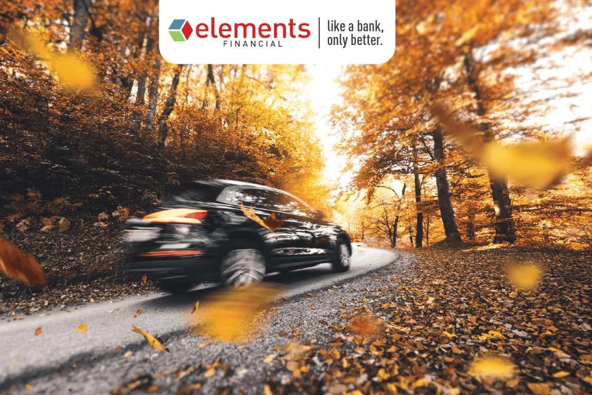 Get IN a New Vehicle this Fall, from Get Indiana: Where in IN Can You Ski, Board & Hit the Safari? ⛷🦒