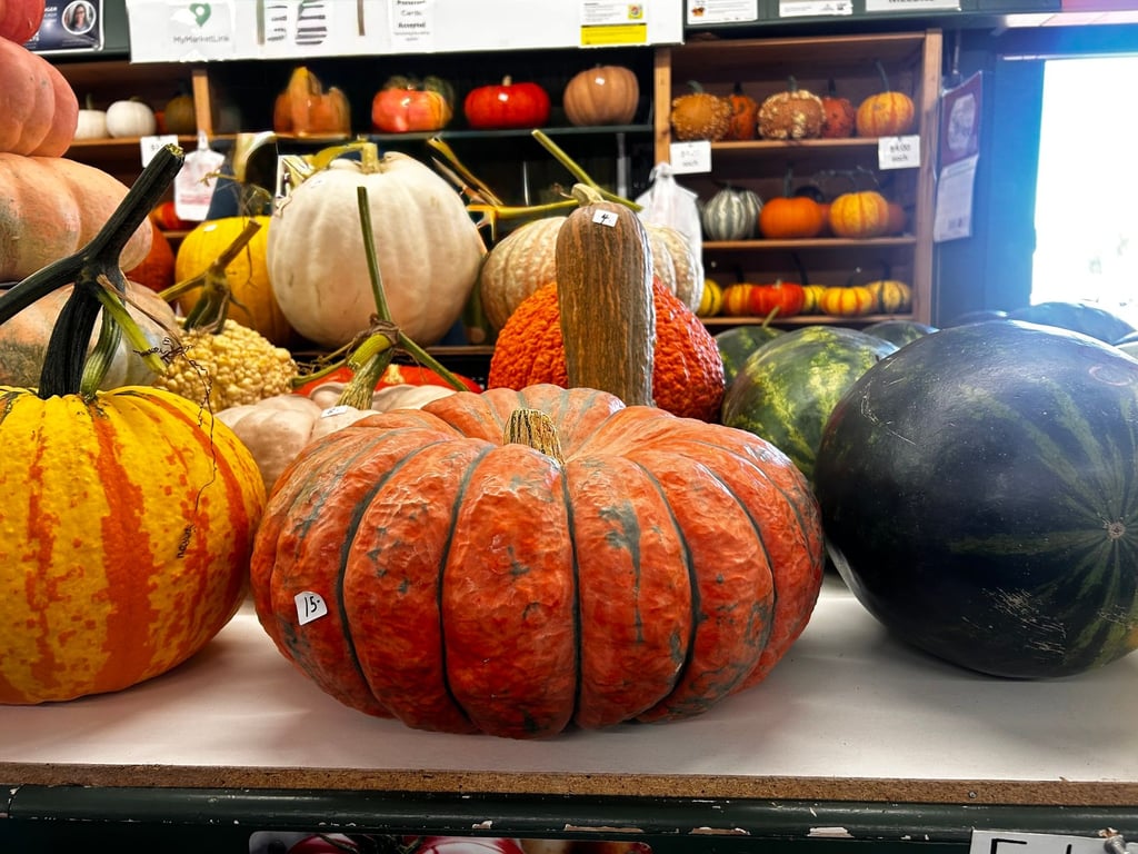 The Farmers Market Trail: Lemler’s Sweet Corn and Produce, from Get South Bend: 🍀Presents: THE RETURN OF THE FIGHTING IRISH