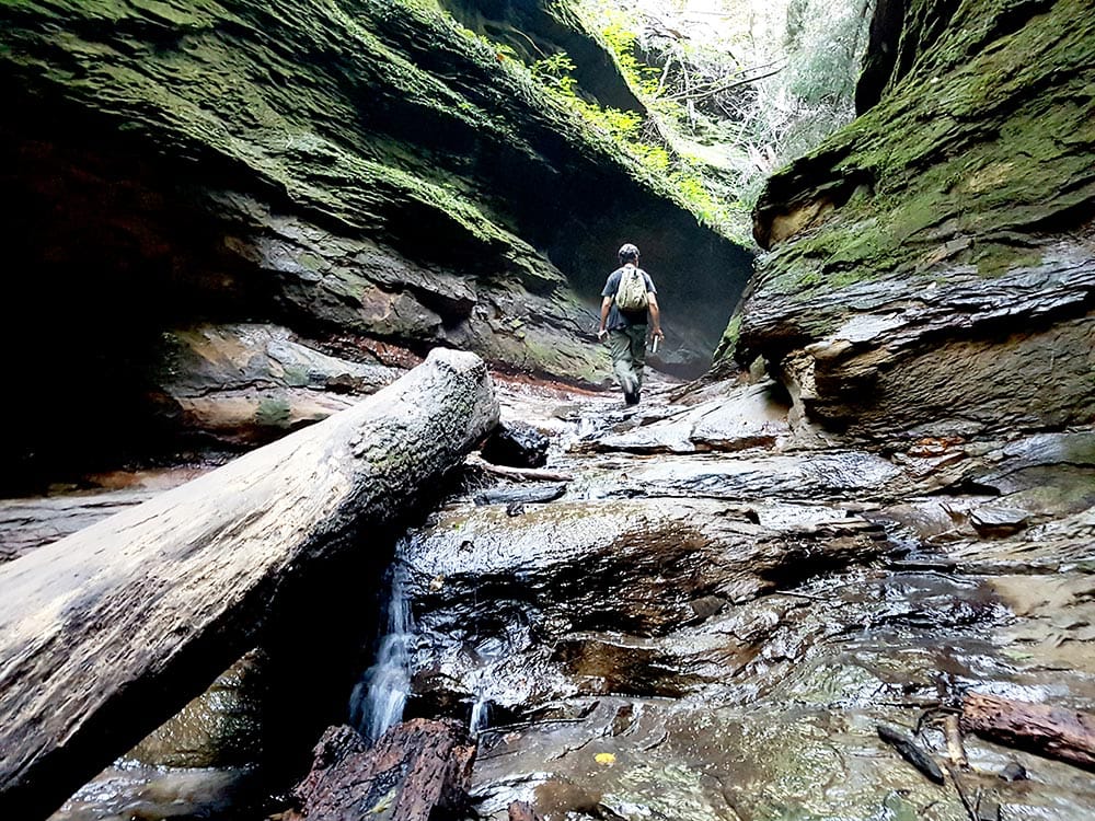 Five Indiana State Parks to Hike & Camp This Spring, from Get Indiana: 🏕Spring Camping & Hiking at 5⃣ IN State Parks