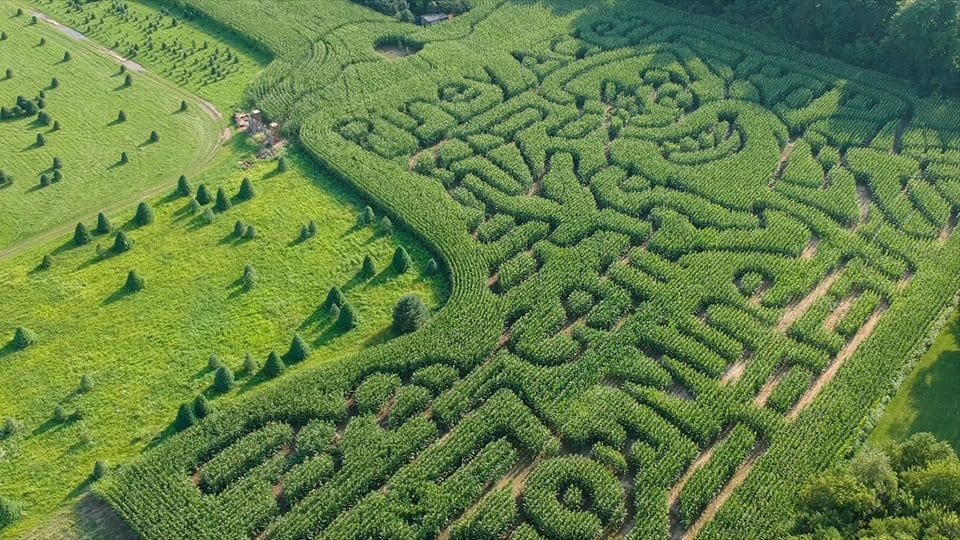 Piney Acres, from Get Indiana: This IN Town has WHAT for a Roadside Attraction!? 👀