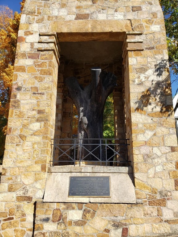 Constitution Elm, from Get Indiana: It's Spooky Szn: IN Paranormal Activity