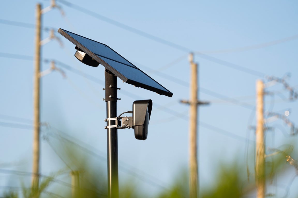 Bye Bye Flock Cameras?, from Get Indiana: Hobbits in Indiana?