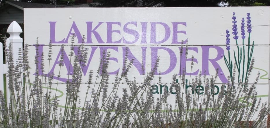 This week’s journey is taking us to Lakeside Lavender!