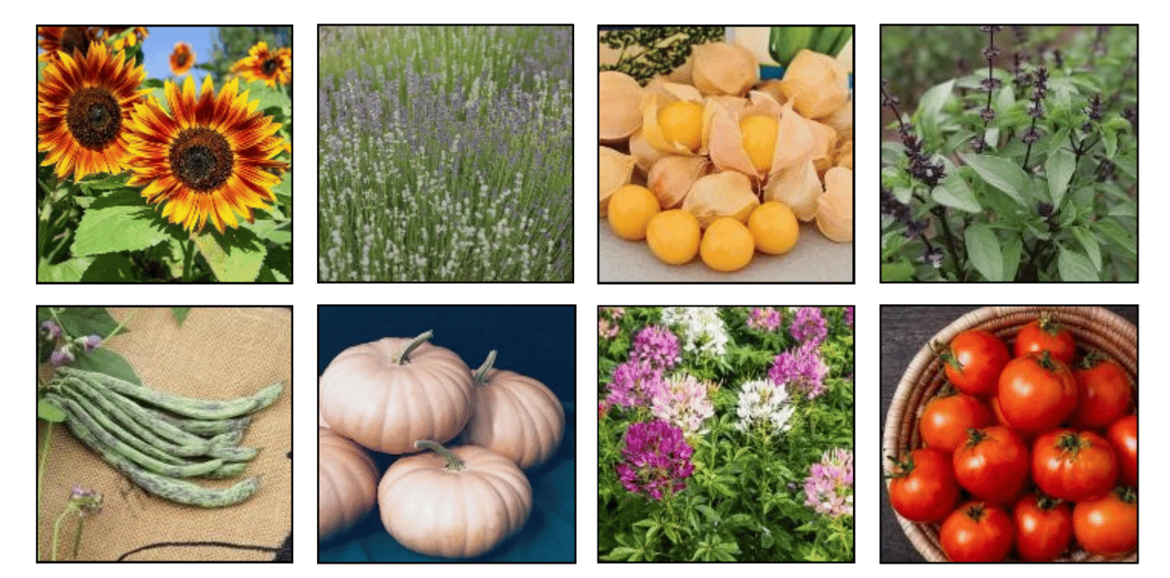 A hack for having a thriving Indiana garden is taking advantage of the free local seed library the library does every year.