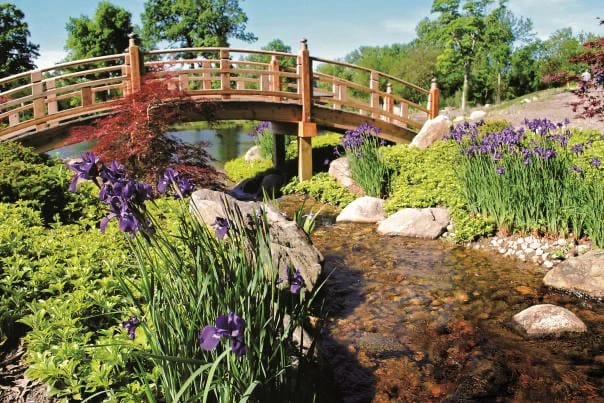 Gardens Galore, from Get Indiana: Hoop, There It Is! The Small Town Bracket Challenge 🗳