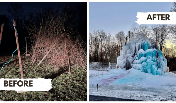 Beforeaftervealtree