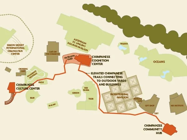 Map of the new exhibit