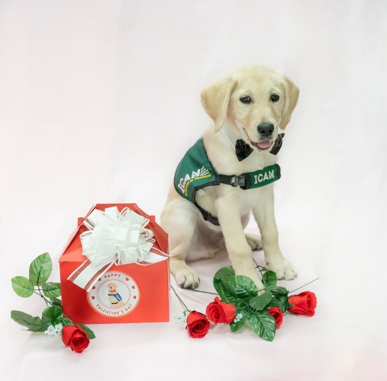 Puppy Love, from Get Fishers: ⛵ Updates & Visions for Fishers