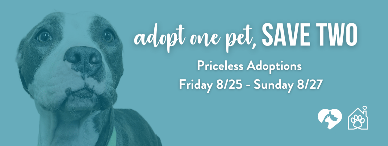 Clear the shelters, from Get Fishers: ⛵️ Timeout @ HEPL