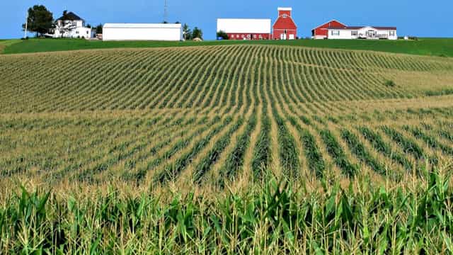Rows of green cornfield rising toward a red barn, white farmhouse, and grain bins under a clear blue Iowa sky.