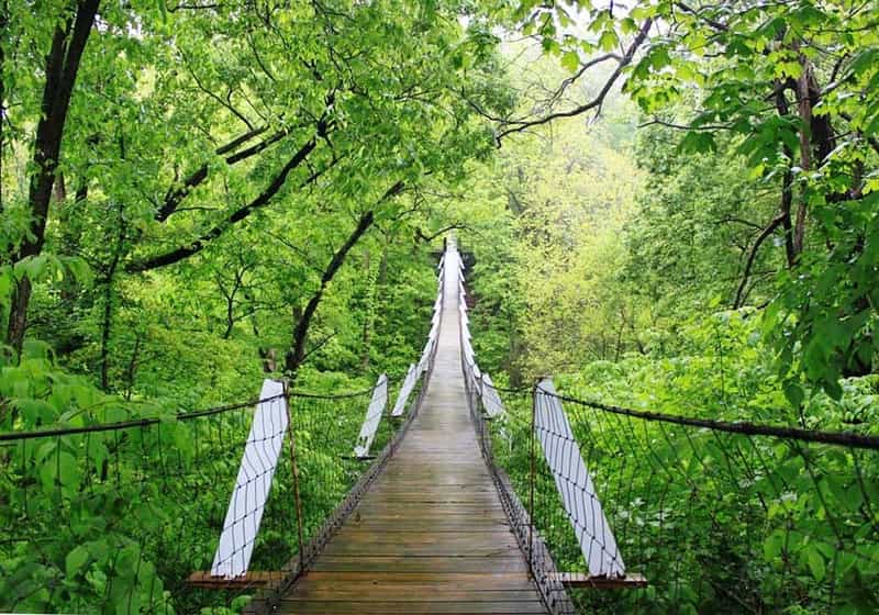 A wooden suspension footbridge crossing a lush green wooded ravine in Iowa.