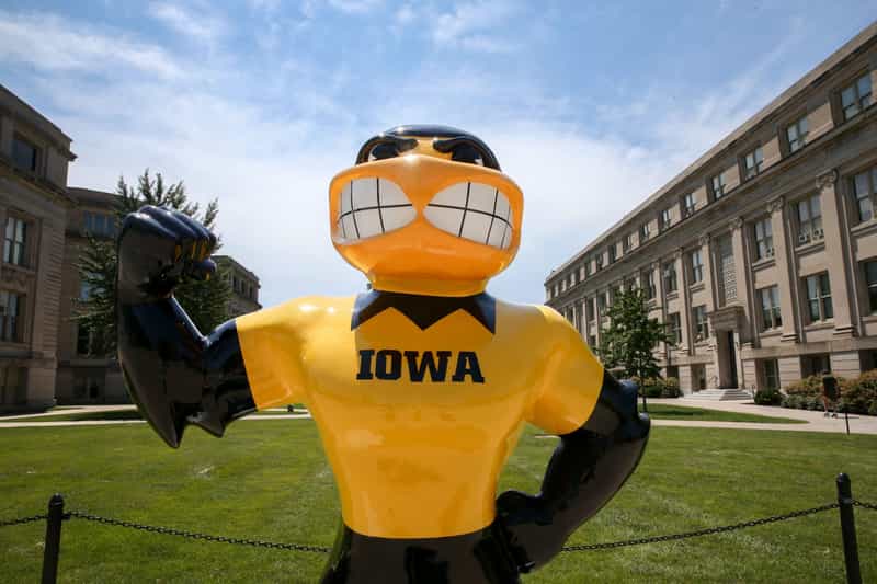 The black-and-gold Herky the Hawk mascot statue on the University of Iowa campus, with stone academic buildings behind it.