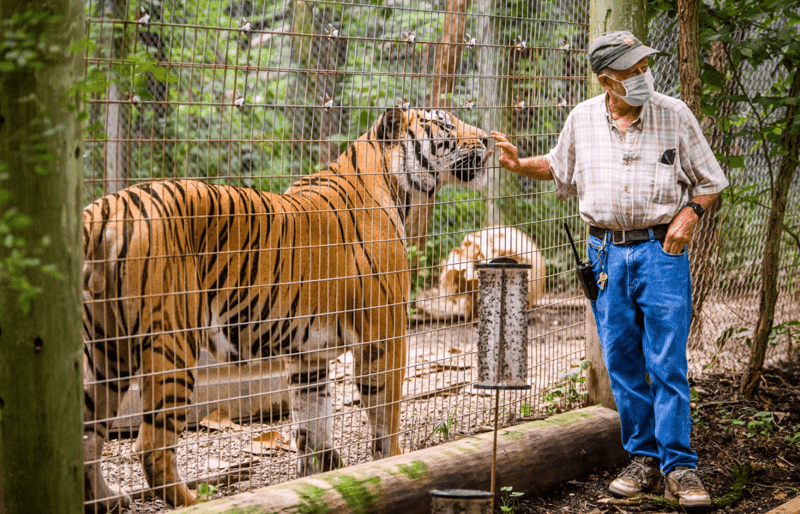 A Wild Adventure at the Exotic Feline Rescue Center
