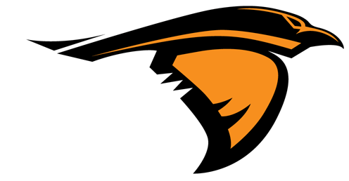 Anderson (IN) logo