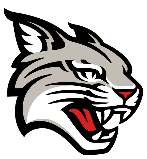 Davidson Wildcats logo