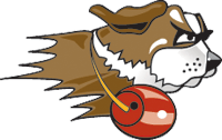 Saint Francis (IL) logo
