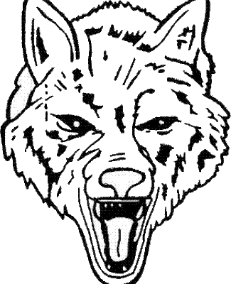 Boone Grove logo